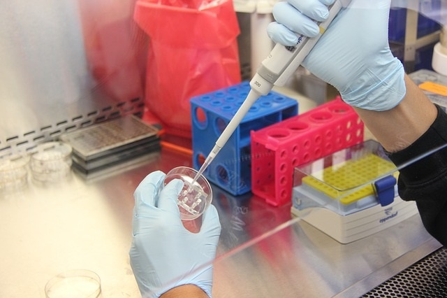 medical lab assistant medical lab assistant