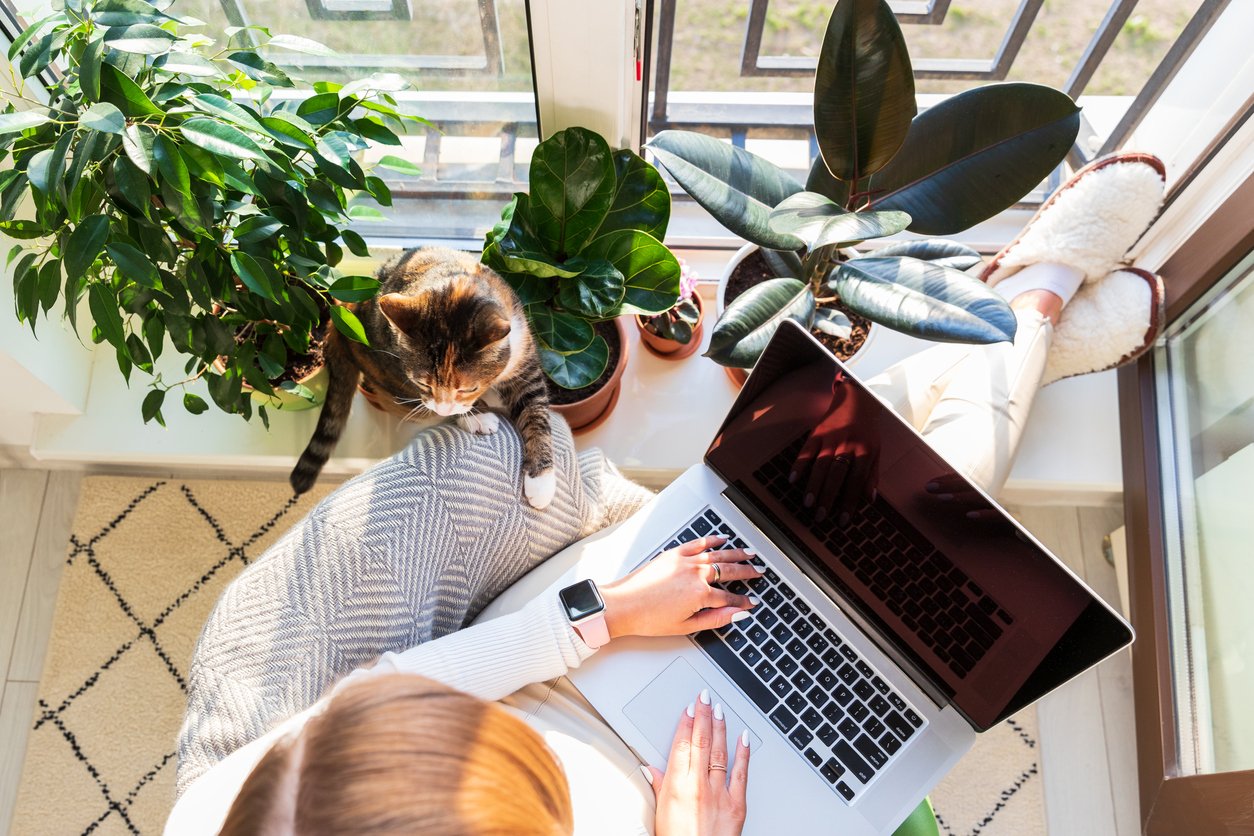 Girl sitting on armchair with feet on windowsill working on laptop