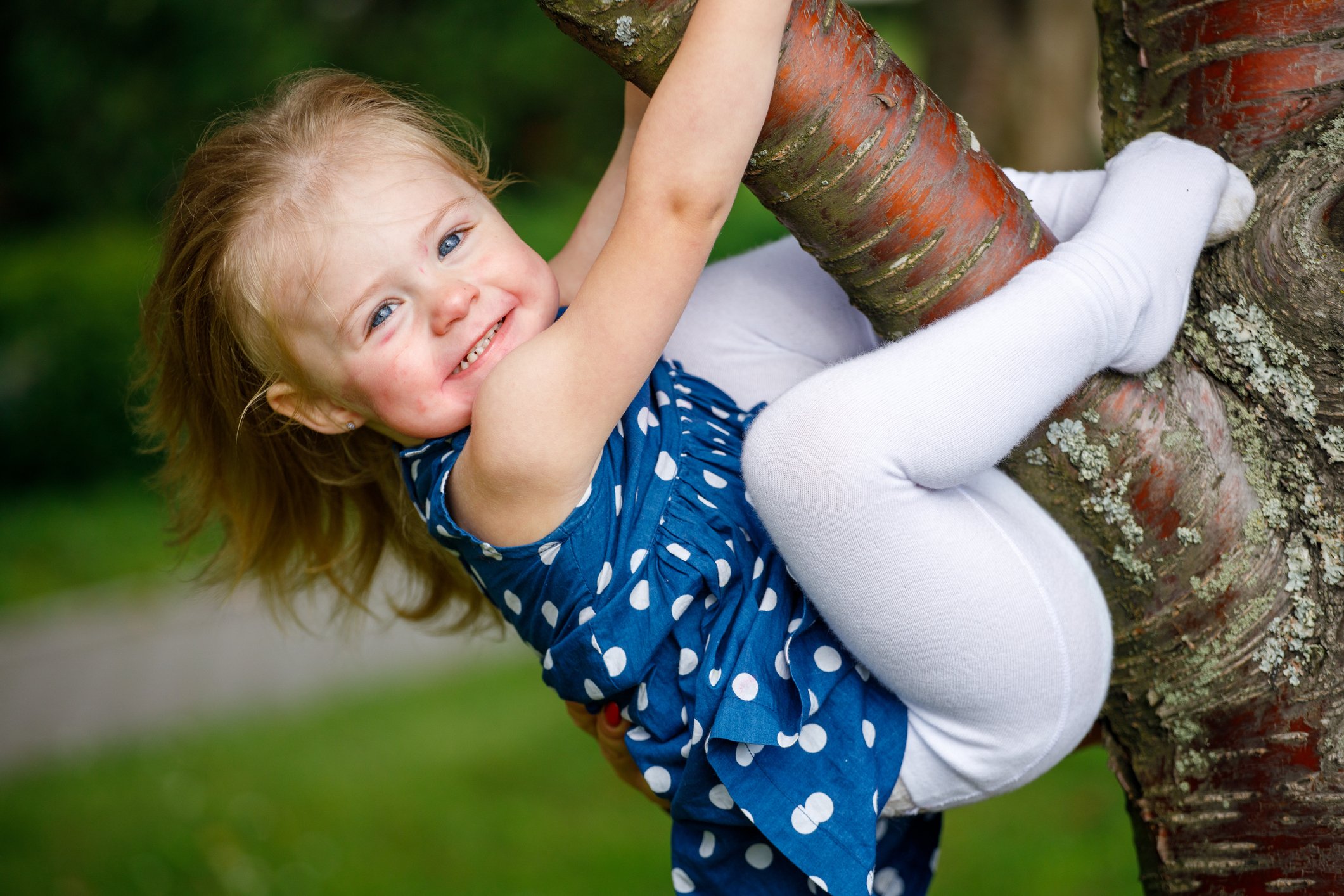 Une petite fille en robe bleue accrochée à une branche d’arbre