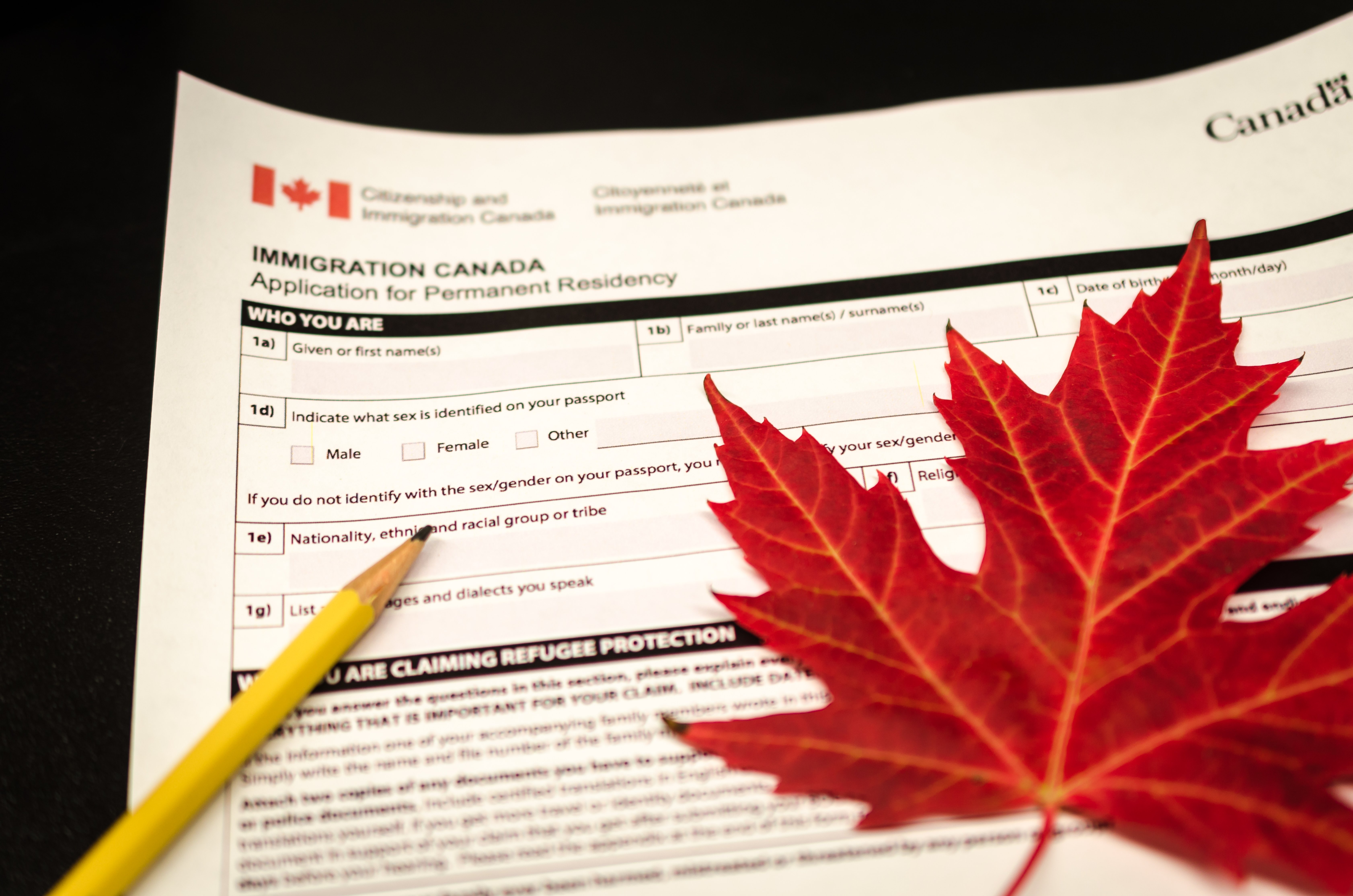 Closeup of an immigration form, a pencil, and a red maple leaf