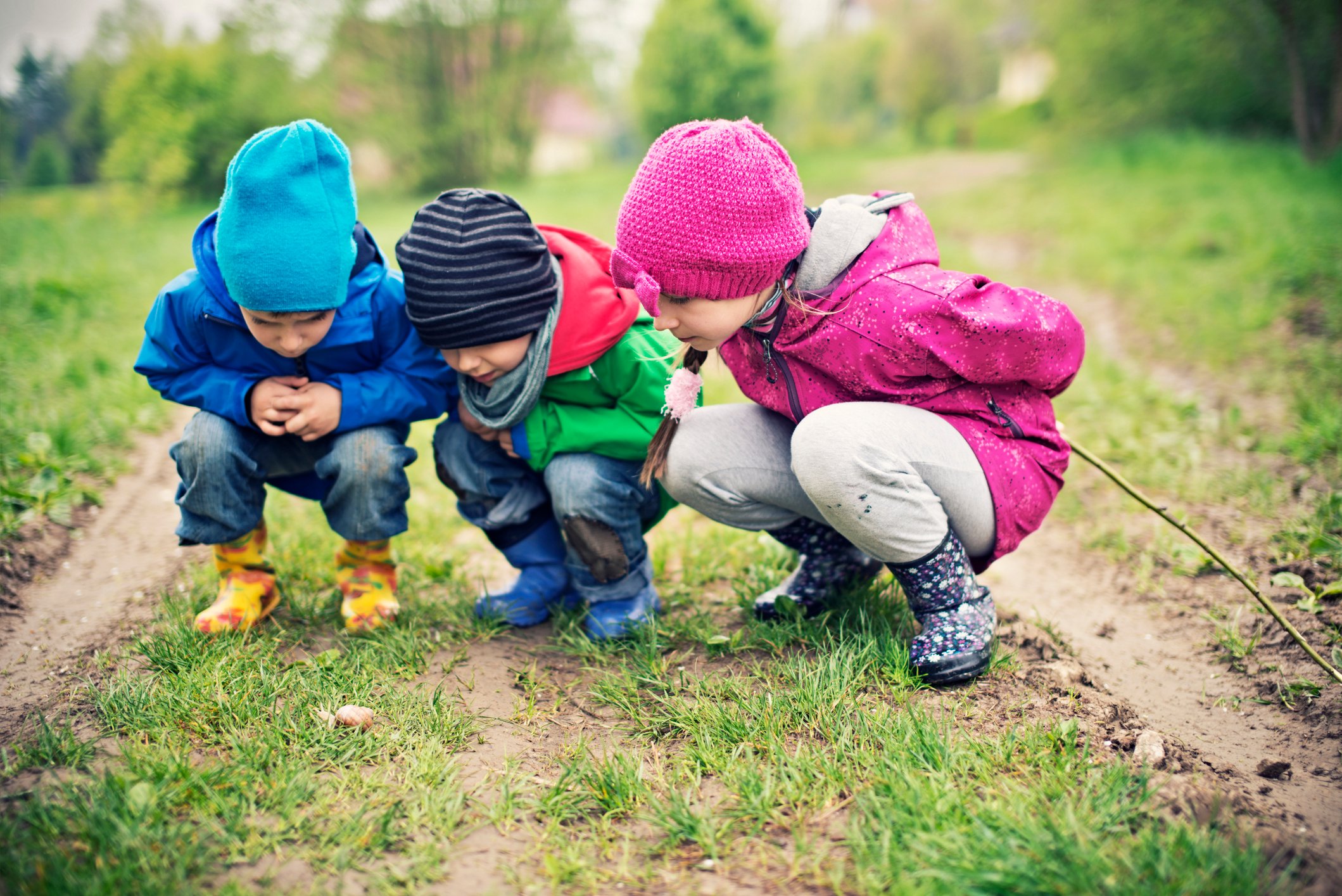 Three preschoolers examining a snail in the grass