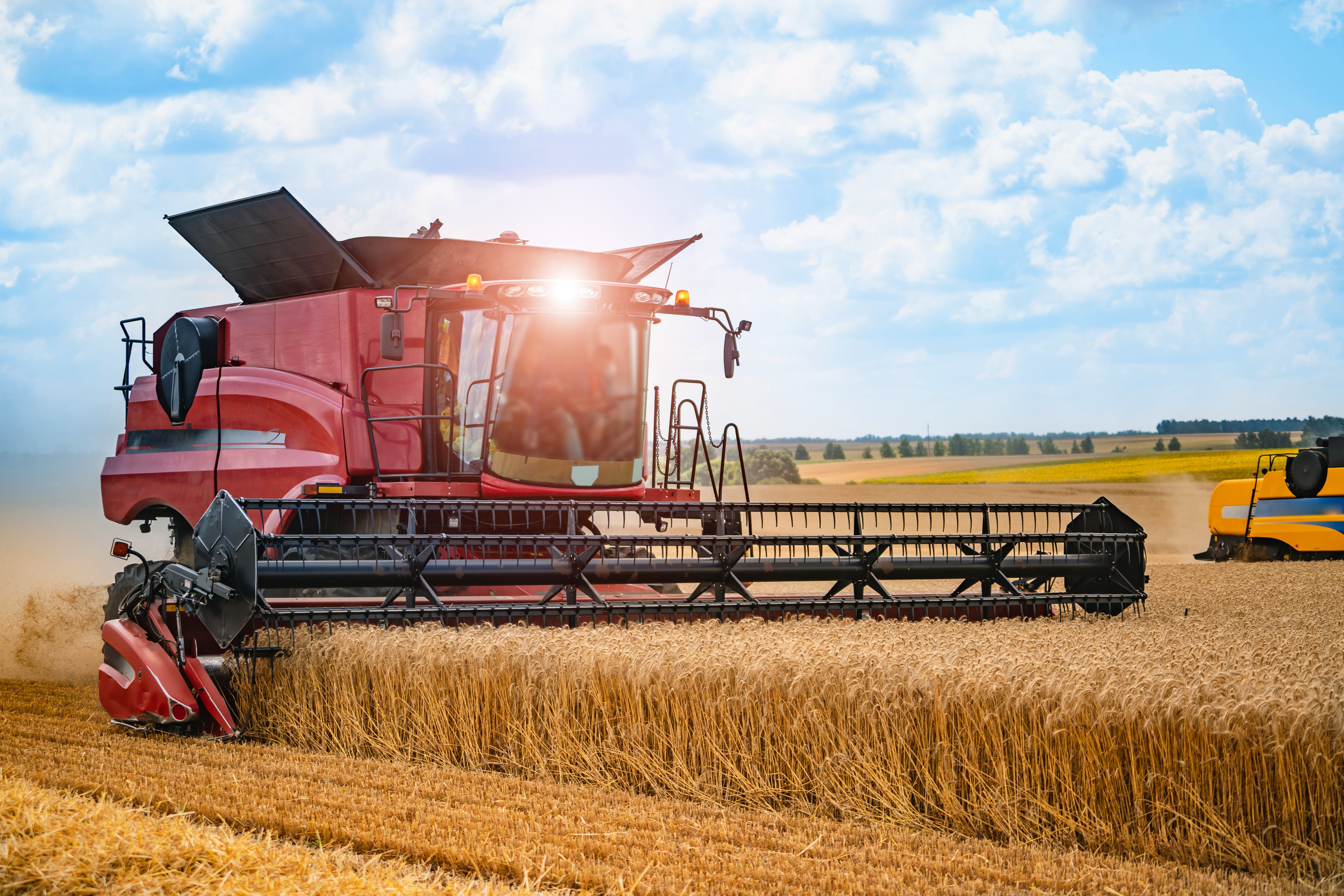 Combine harvester in action on wheat field