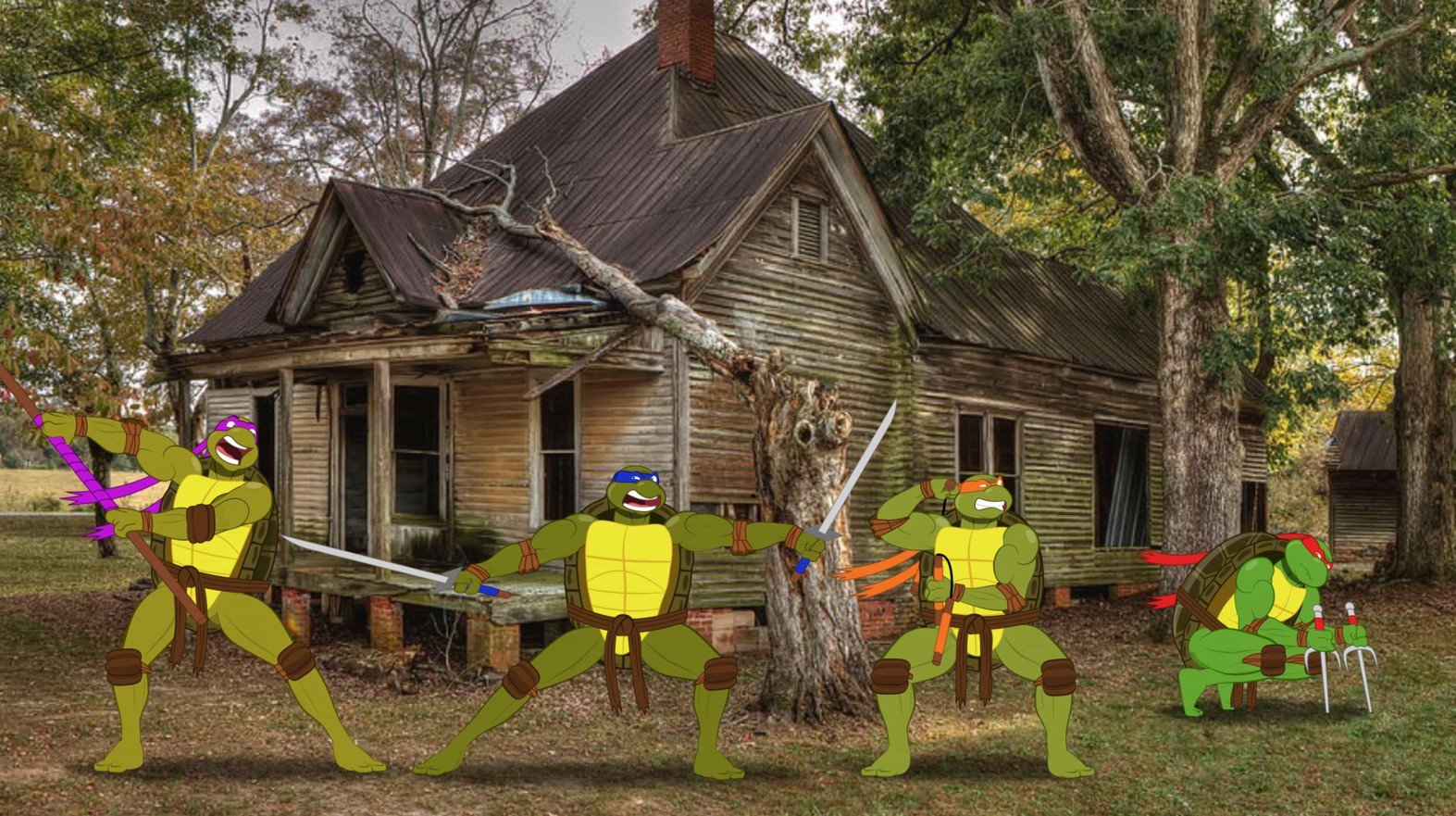 Cartoon turtles in front of a log cabin